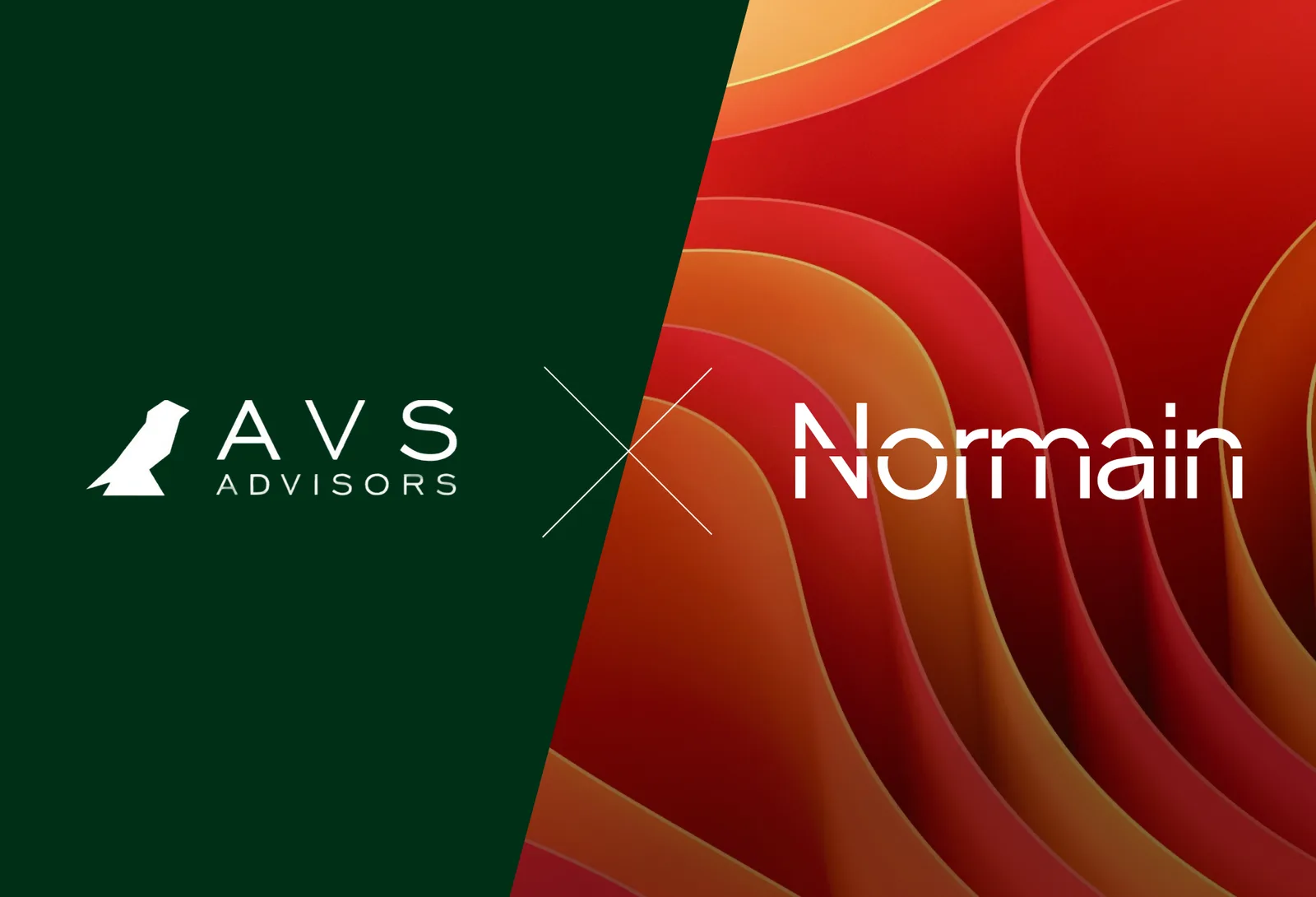 AvS Advisors launches first-of-Its-kind Board Benchmark with Normain